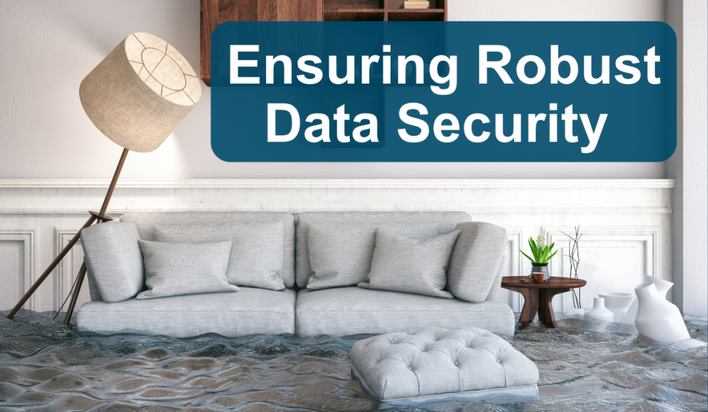 Ensuring Robust Data Security